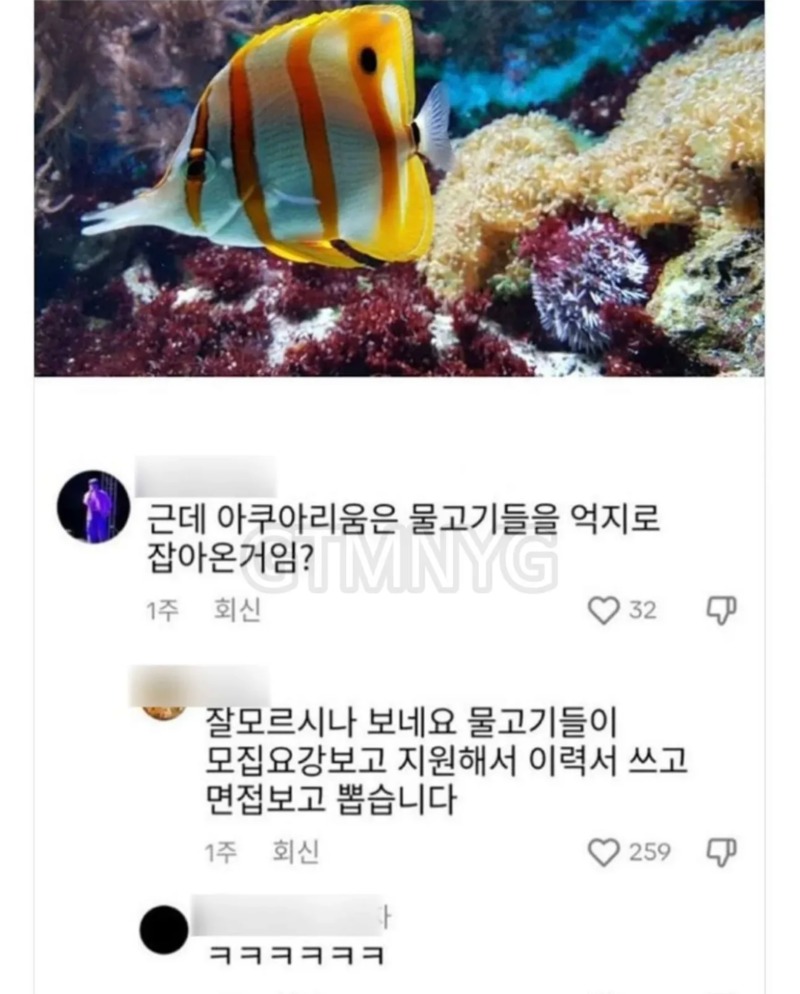 아쿠아리움에있는 물고기들은 억지로 잡아오는거야?🥺