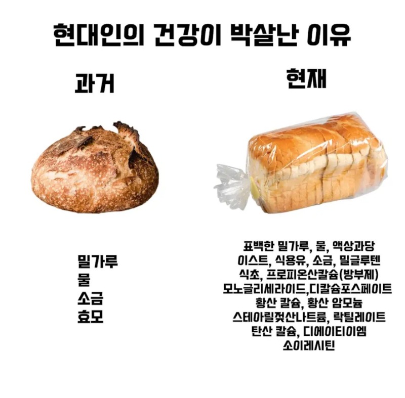 현대인들의 건강이 박살난 이유.jpg