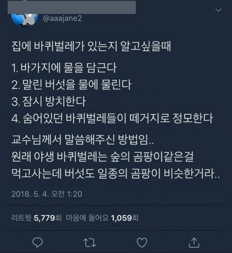 집에 바퀴벌레가 있는지 알고 싶을 때