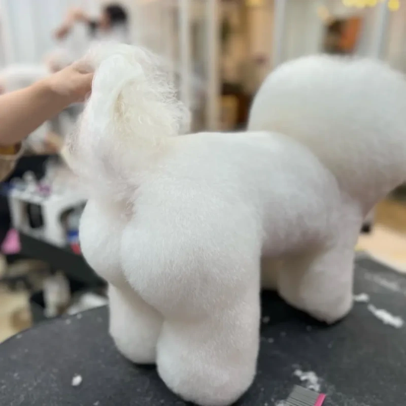 비숑 빵딩이 빵실 컷