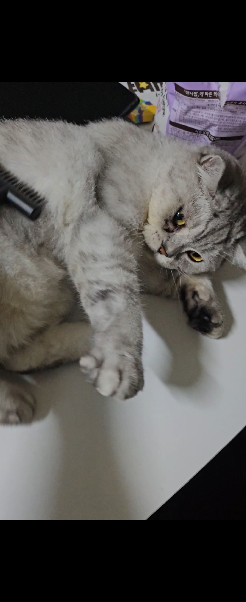 아파도 ㅠ