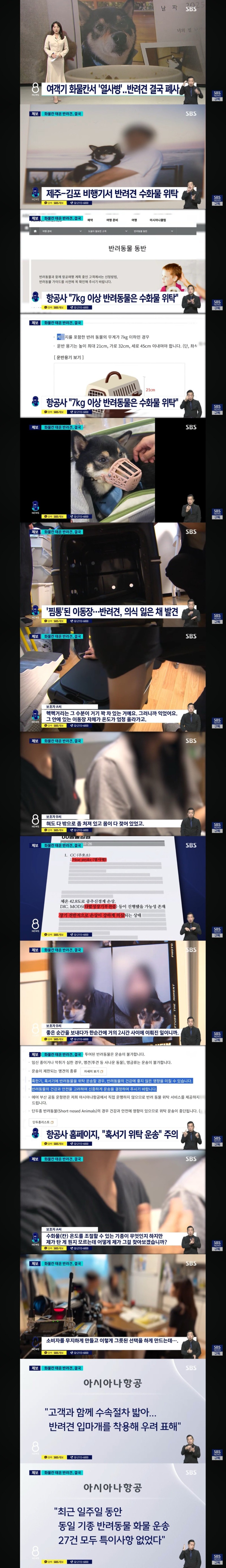 여객기 화물칸서 