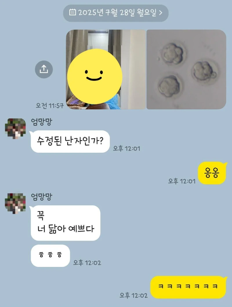 시험관 시술하는 딸에게 엄마의 카톡.jpg