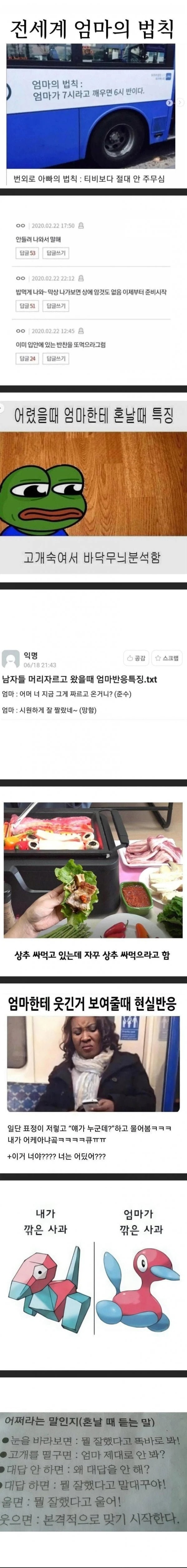 전 세계 엄마의법칙