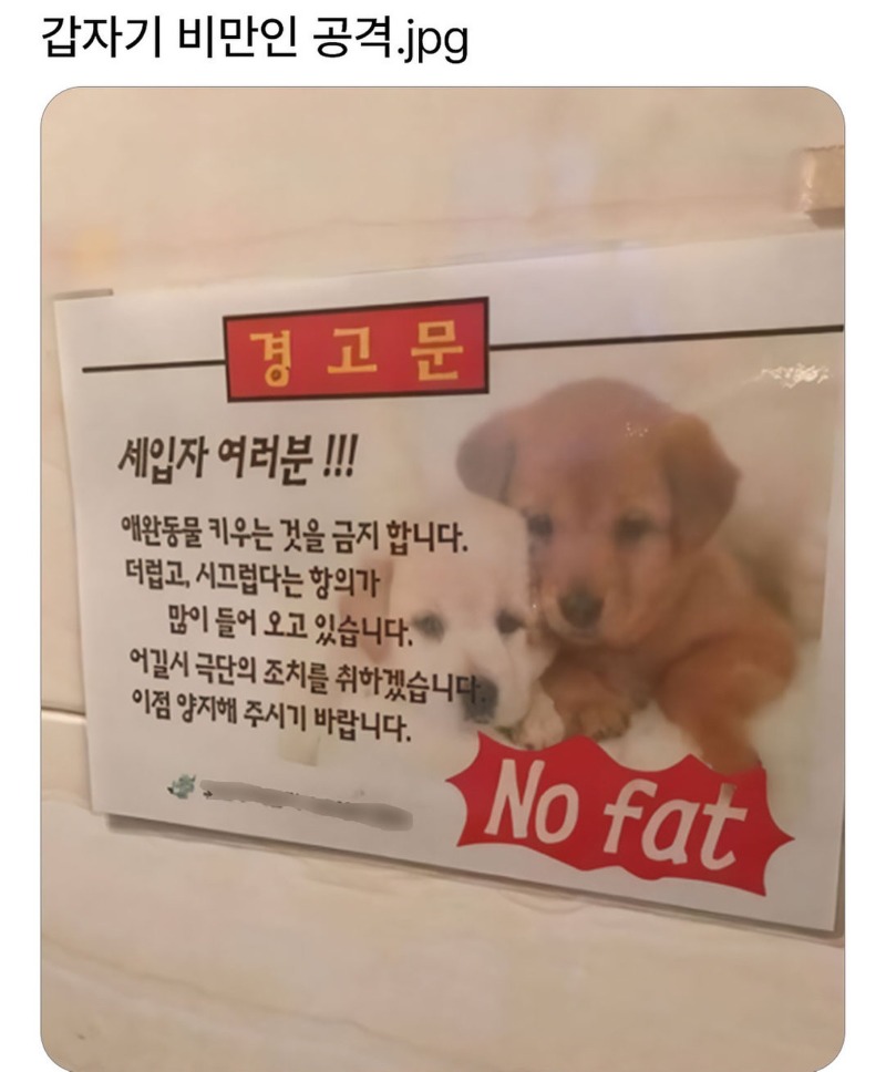 갑작스레 공격당한 뚱뚱파 