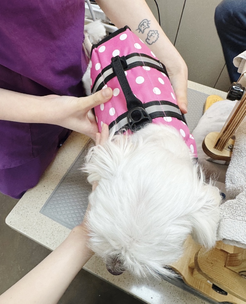 수영치료하고...뻗음…