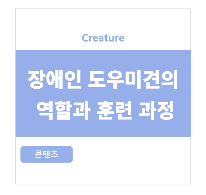 장애인 도우미견의 역할과 훈련 과정 (장애인 도우미견 2탄)