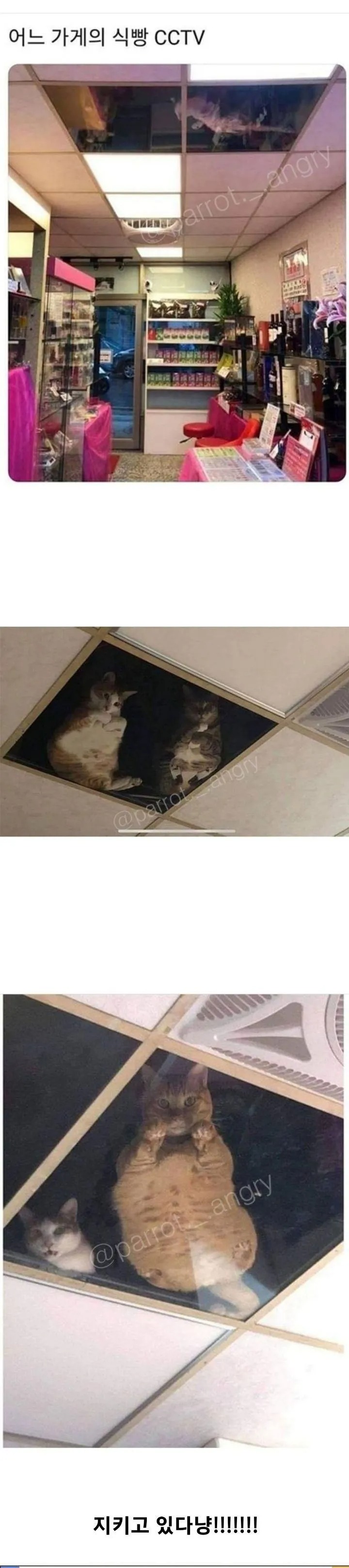 어느 가게의 cctv