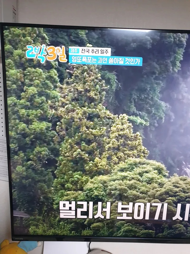 초심 잃은 1박2일