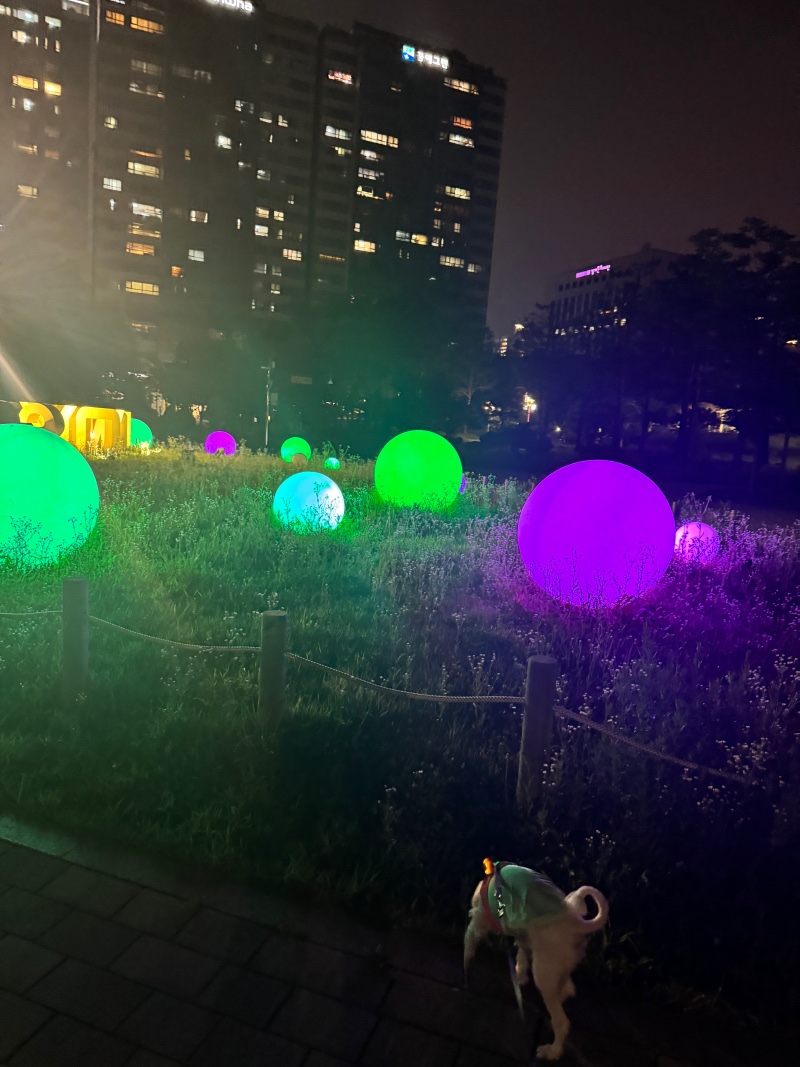 밤산책ㅎㅎ