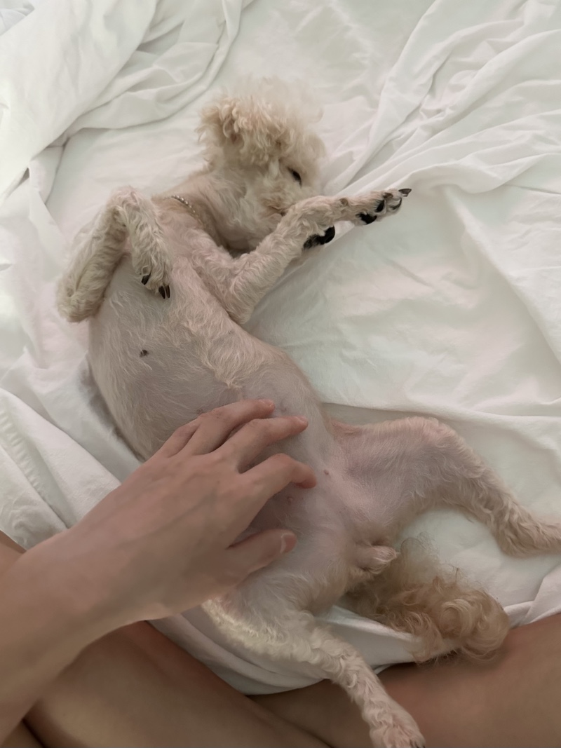평화로운 주말 오후
