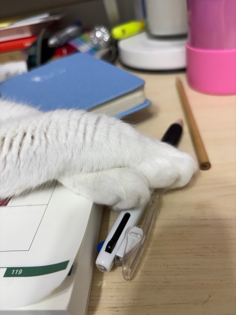 기여운 녀석