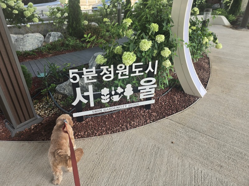 가양대교 하부 5분정원도시 서울