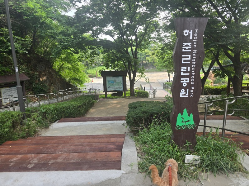 허준근린공원에서 잉어구경하며 산책!