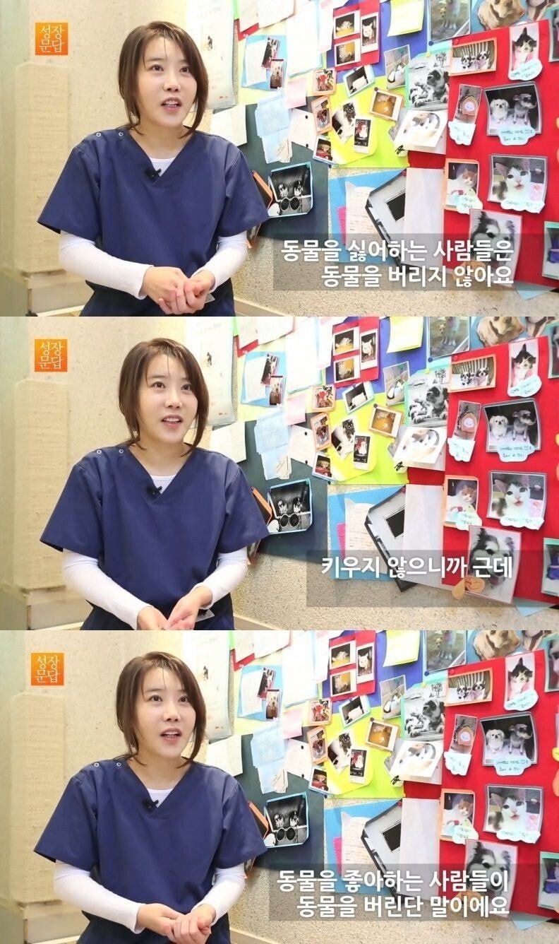 동물을 싫어하는 사람은 동물을 버리지 않는다.