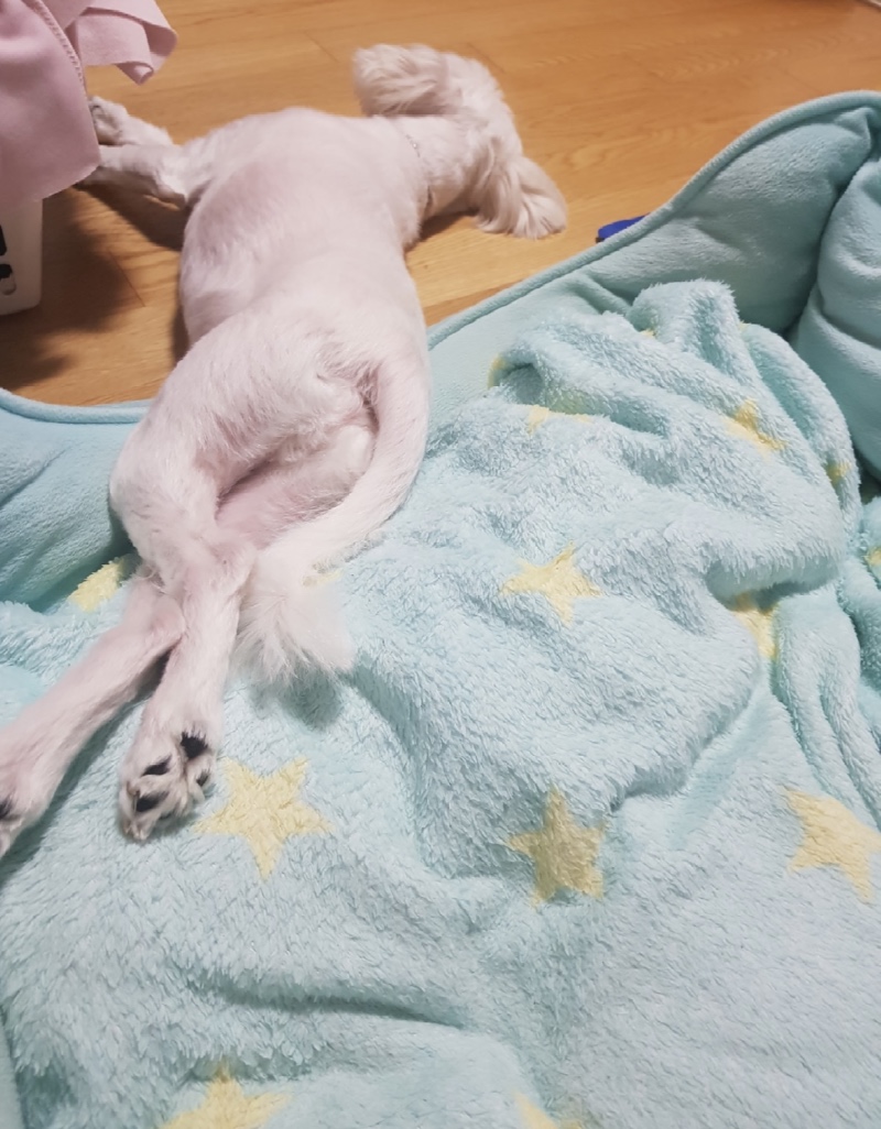 나는야 롱다리