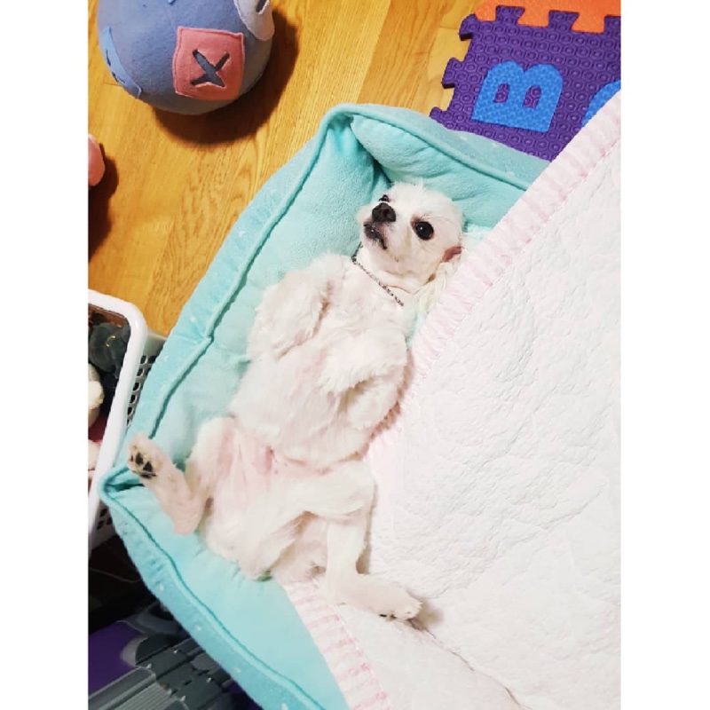 너 사람이닝….?