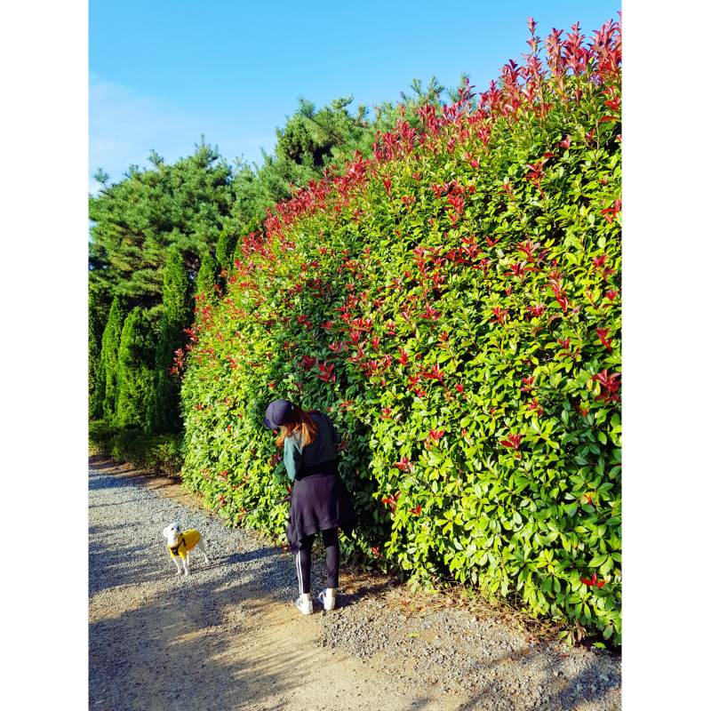 태안 청산수목원