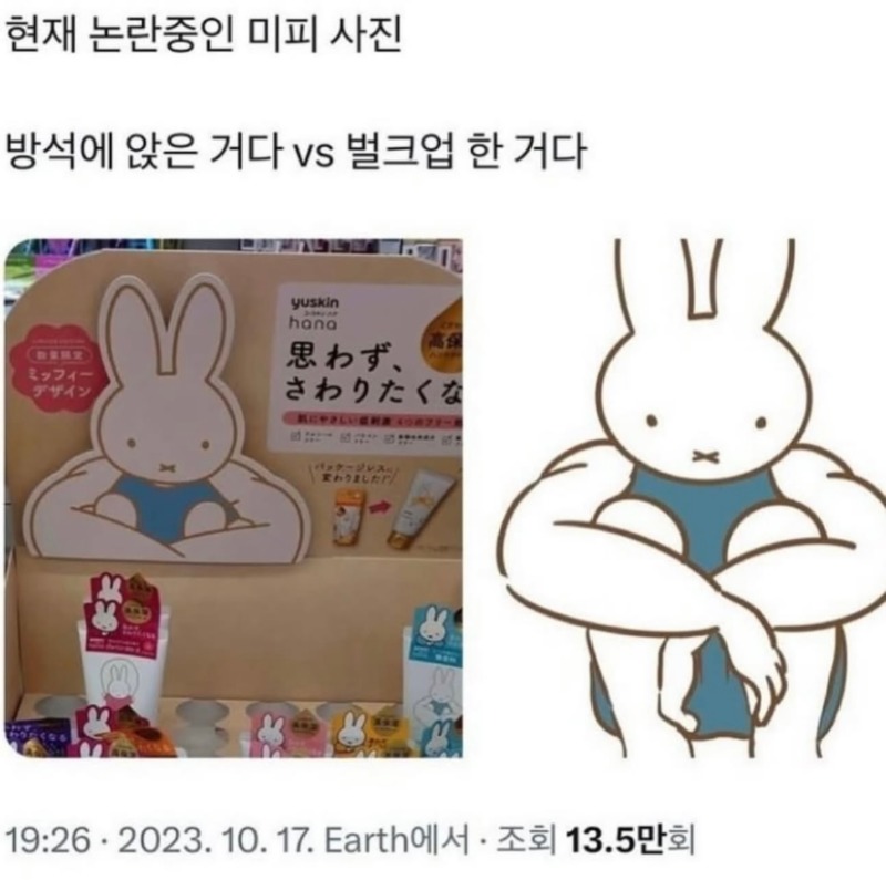 현재 논란중인 미피사진