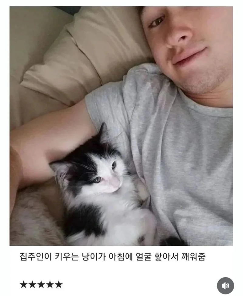 에어비엔비 별점 5점 준 이유