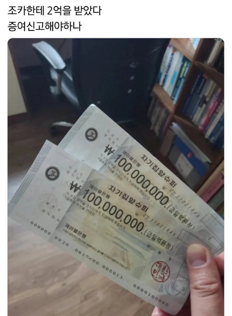 조카한테 2억 받았다!!