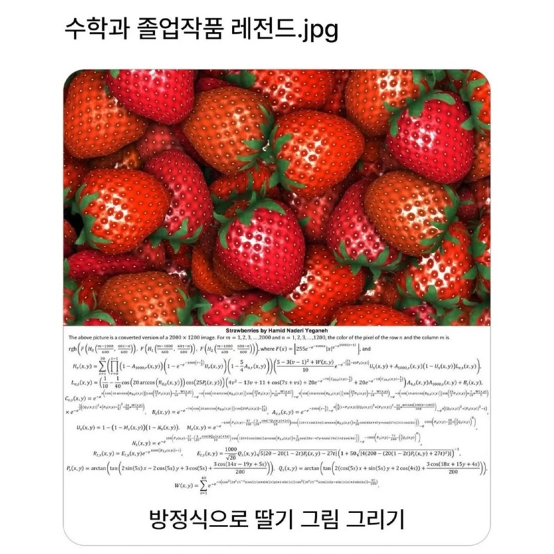 수학과 졸업 작품 레전드