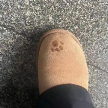 귀욤뽀짝한 발자국 
