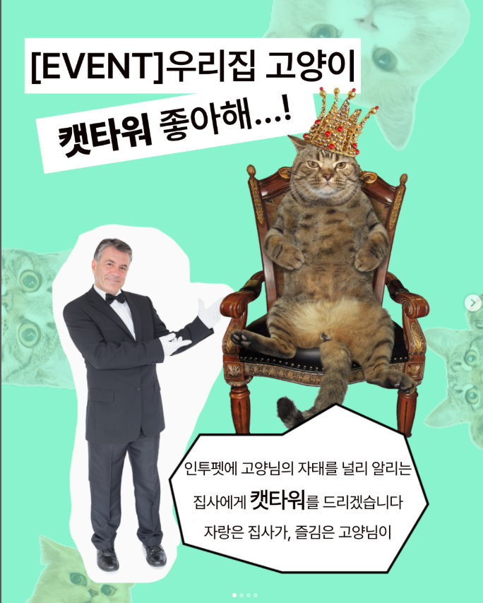인투펫) 고양이날 이벤트, 인투펫에 고양이 자랑하고 캣타워 받자!! 