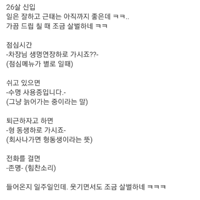 26살 신입이 어딘가 이상하다...