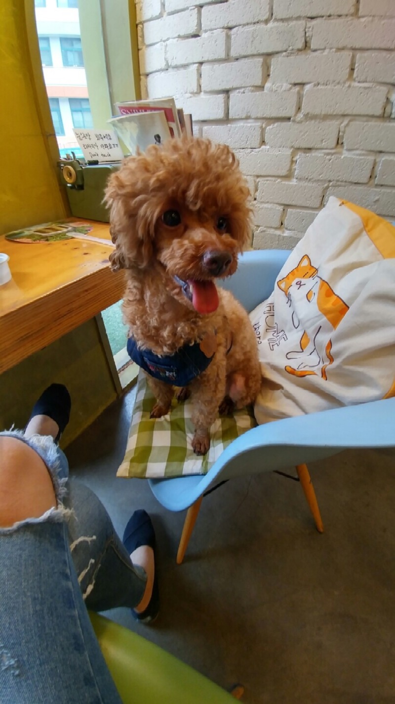 너무 귀여운 우리아이 ♡