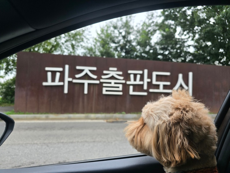 파주 페이지온커피, 강아지와 함께 독서!