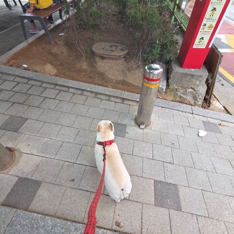 천왕근린공원