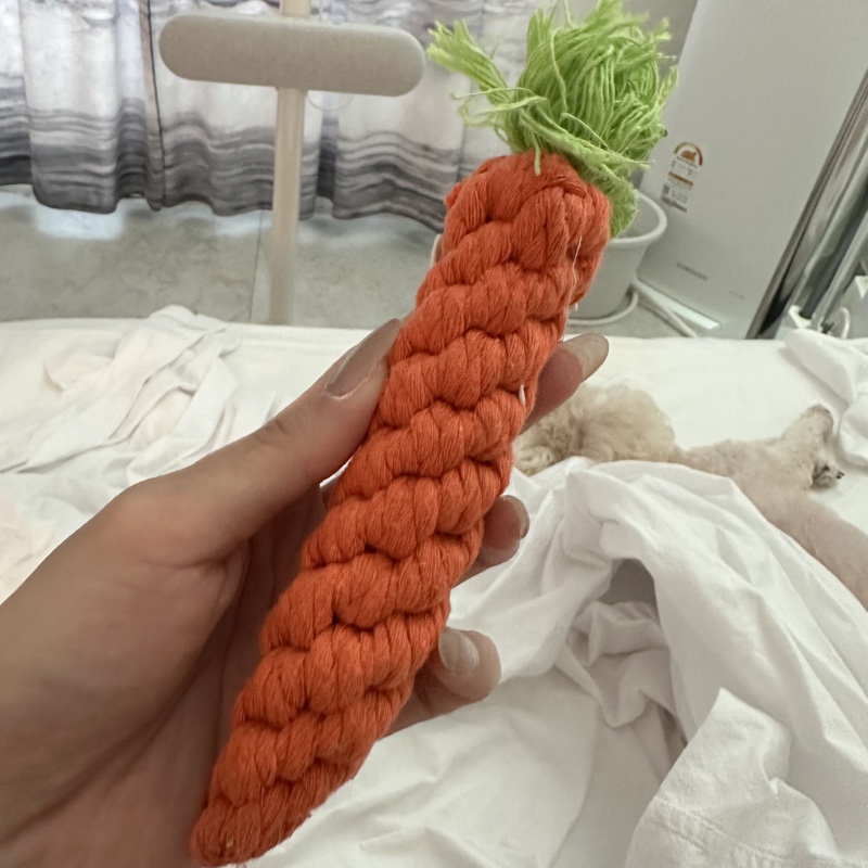 패리스독 당근 치실토이