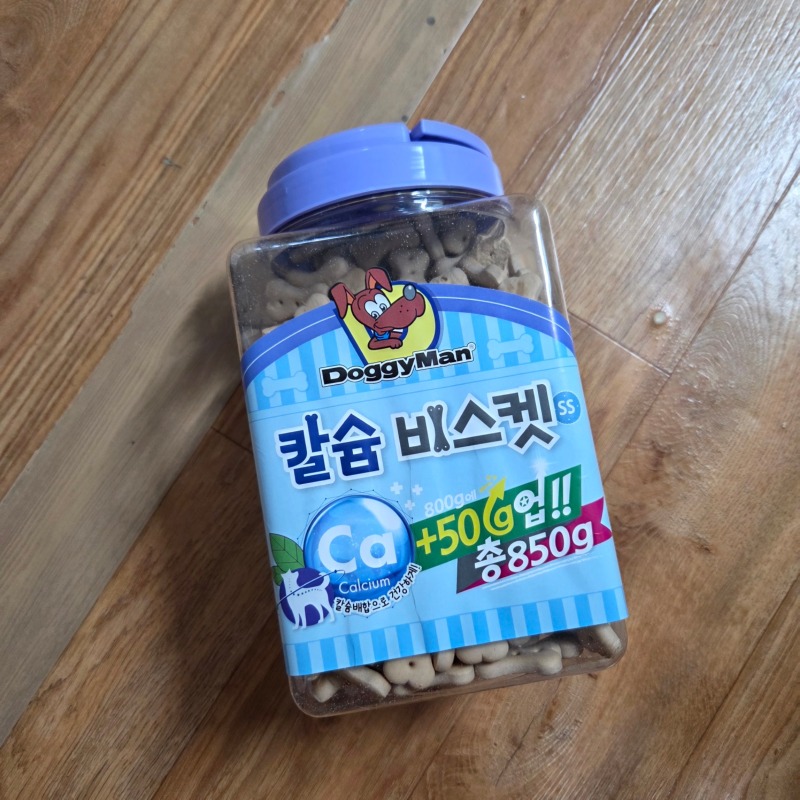 도기맨 비스캣