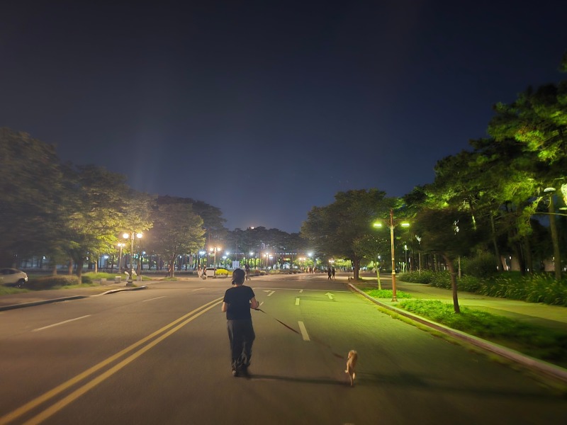 시원한 가을바람과 함께 즐기는 월드컵공원 산책