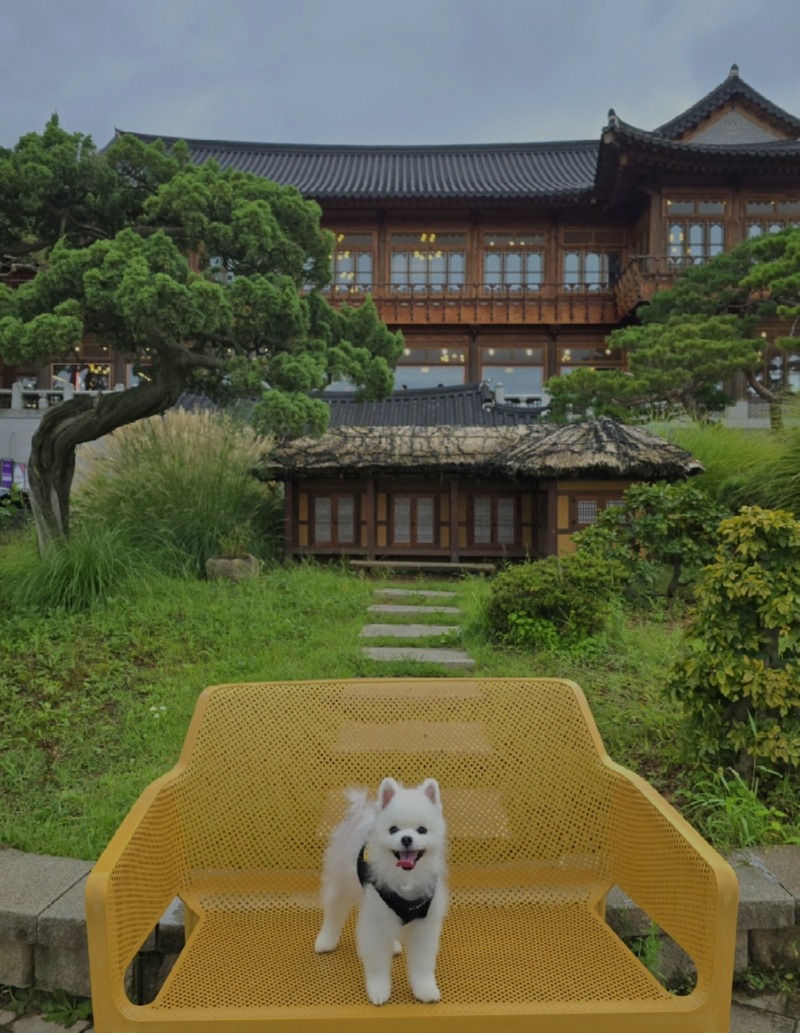 애견동반 가능한 대형 베이커리 카페 <혜경궁 베이커리>