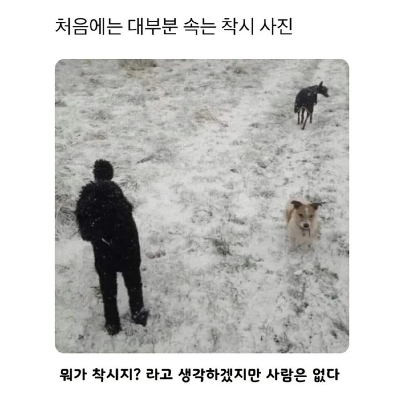 대부분 속는 착시 사진