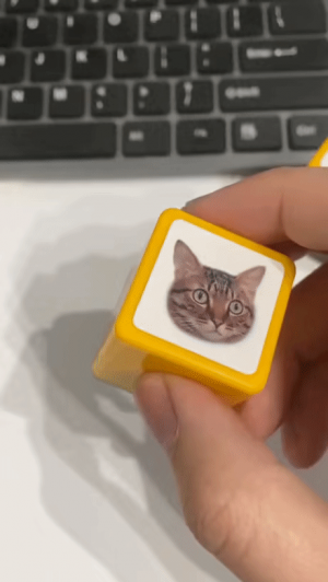 초 고퀄리티 고양이 도장.gif